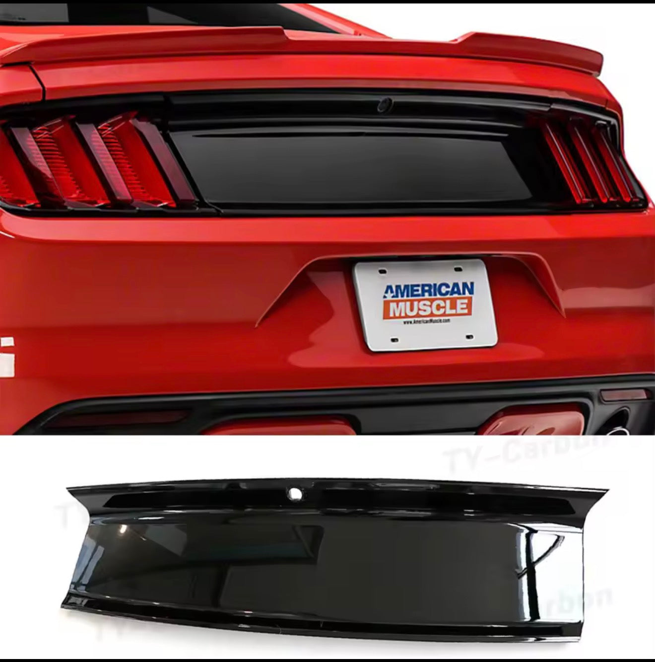 Ford mustang rear plate cover