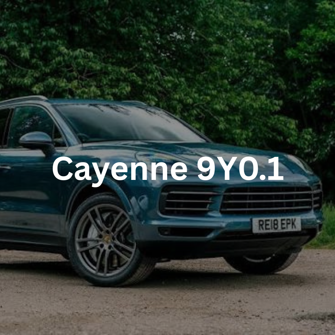 Porsche cayenne 9Y0.1
