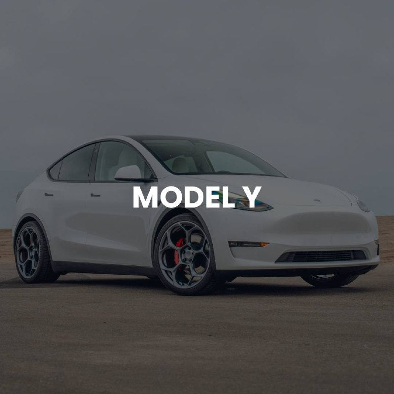 MODEL Y