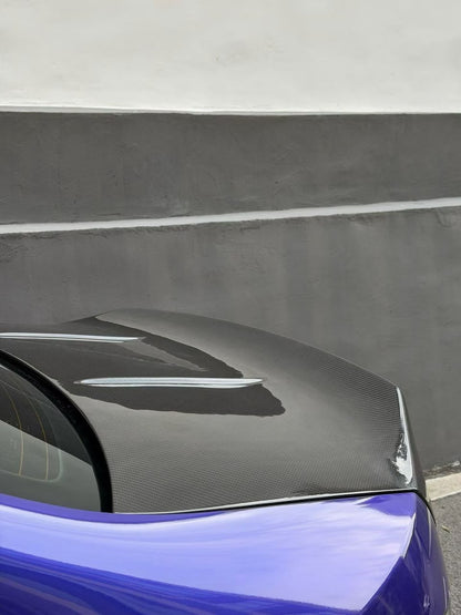 G20 AC Carbon Trunk